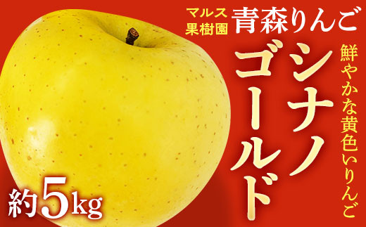 青森りんご シナノゴールド約5kg 【マルス果樹園】 りんご リンゴ 林檎