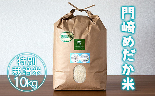ひとめぼれ 10kg 特別栽培米 ひとめぼれ 新米 令和7年産 登米産 白米 10kg 特別栽培米 農薬・化学