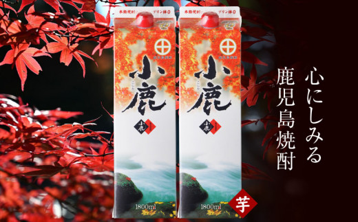 1832 小鹿酒造『小鹿』紙パック（芋）3.6L（25度）［1.8L×２本