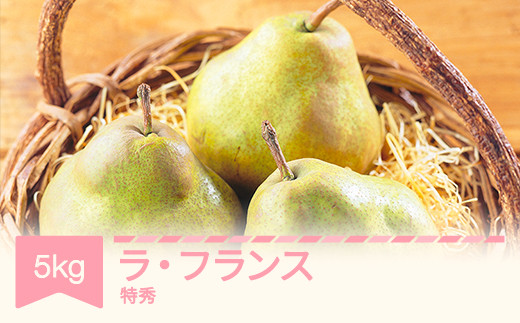 ふるさと納税 梨 山形県 河北町 令和7年産 食べ頃がわかる 洋梨