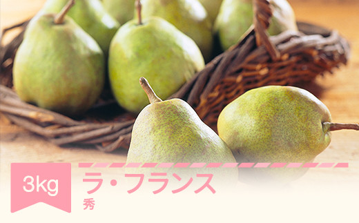 ラ・フランス ３キロ 先行予約】ラ・フランス 洋梨 ラフランス 3kg 秀品 令和7年産