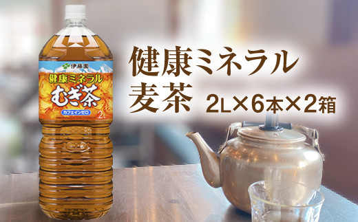 【北海道恵庭市】健康ミネラル麦茶2L×6本×2箱【50009】
