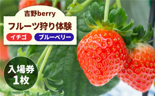吉野ベリー入場券（1枚） 吉野ヶ里町/吉野麦米 イチゴ狩り