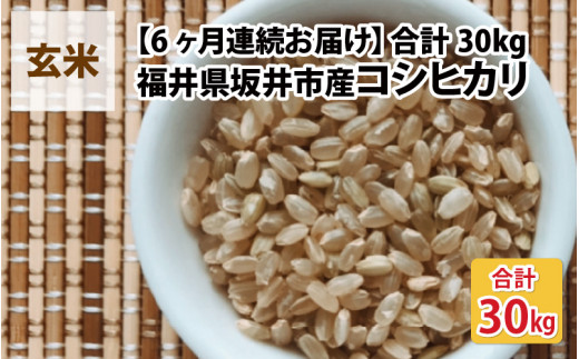 令和6年産・新米】【6ヶ月連続お届け】福井県坂井市丸岡町産 