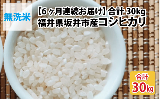 令和4年産】【6ヶ月連続お届け】福井県坂井市丸岡町産 コシヒカリ5kg×6