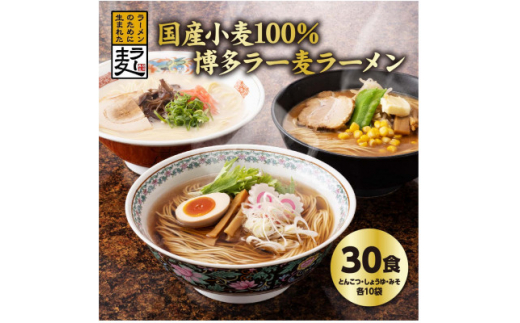 国内産小麦ラー麦ラーメン「味三撰」30食/とんこつラーメン、しょうゆ