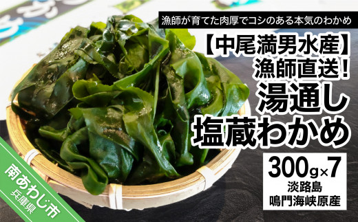【兵庫県南あわじ市】【漁師直送】湯通し塩蔵わかめ300g×7袋【淡路島鳴門海峡原産】