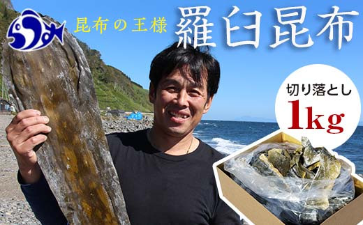 羅臼昆布天神さん家の切り落とし赤葉昆布1kg北海道 知床 羅臼産