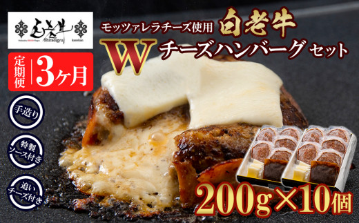 定期便3カ月 お楽しみ 白老牛 Ｗチーズ ハンバーグ セット 10個