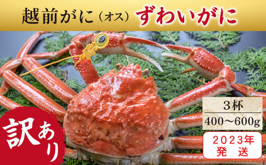 サンプル写真