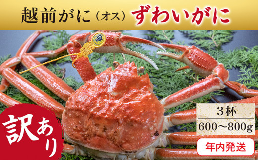 サンプル写真