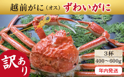 サンプル写真