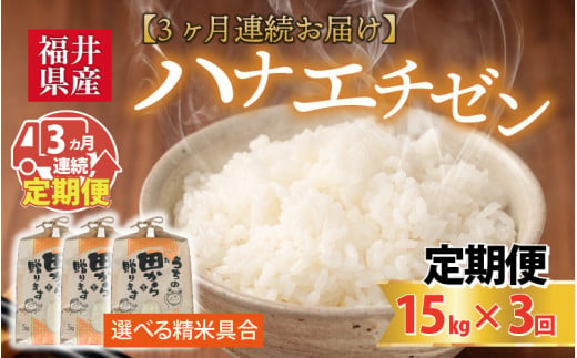 令和5年産新米】定期便 ≪3ヶ月連続お届け≫ 【選べる精米具合