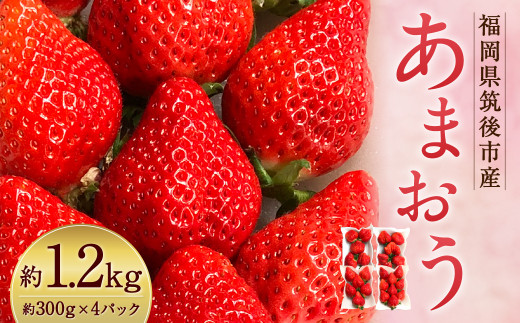 2022年12月~順次発送予定】あまおう 1.2kg(300g×4パック) いちご 果物