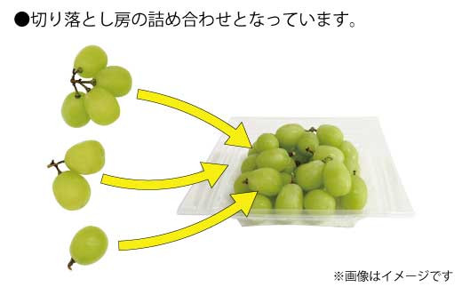 [No.5657-2916]訳あり シャインマスカット  約1kg（パック詰め）《信州グルメ市場》■2023年発送■※9月中旬頃～10月下旬頃まで順次発送予定