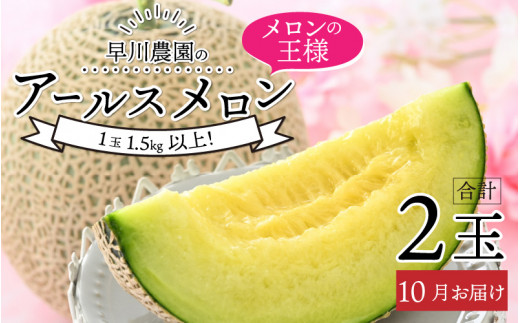 【先行予約】秋 アールスメロン 2玉入 高級メロンの美しさと美味し ... アールスメロン‼️2L!!北海道東北各県沖縄発送不可