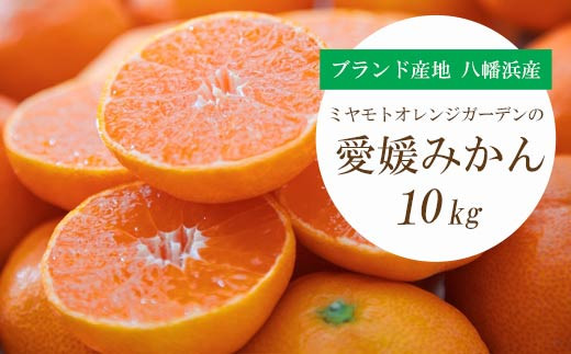 高速配送 毎年大好評！ せとか 愛媛県産 果物 もぎたて河内晩柑 家庭用