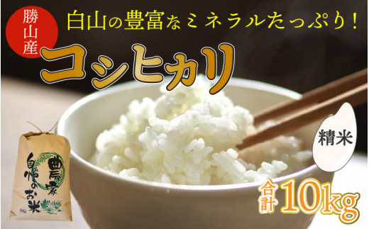 白山の恵み 令和5年度産 コシヒカリ（精米）10kg [A-009006] - 福井県