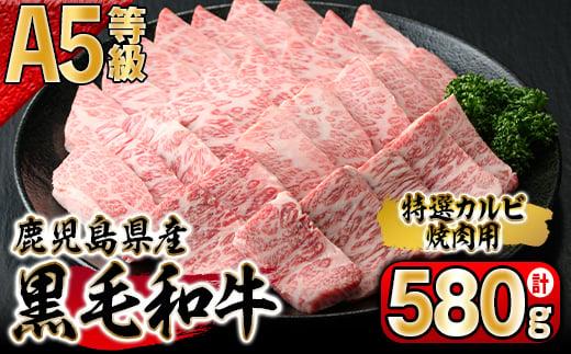 510-1 鹿児島県産黒毛和牛A-5特選カルビ焼肉　580g入