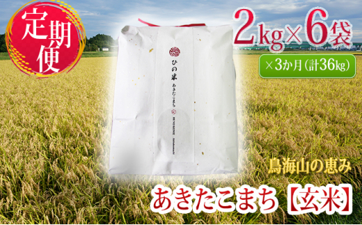 定期便》12kg×3ヶ月 秋田県産 あきたこまち 玄米 2kg×6袋 神宿る里の米