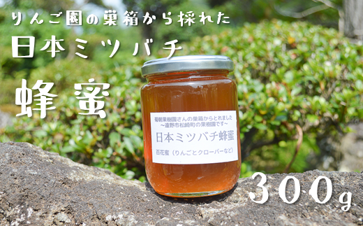りんご園の巣箱から採れた 日本ミツバチ 蜂蜜 【300g】 国産 遠野産 非 ...