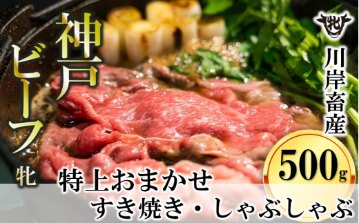 神戸牛 牝】特上 すき焼きしゃぶしゃぶ おまかせセット（500g） （24