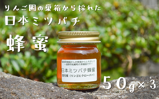 りんご園の巣箱から採れた 日本ミツバチ 蜂蜜 【50g×3】 国産 遠野産 非加熱 純粋 はちみつ 希少 遠野食工房蔵