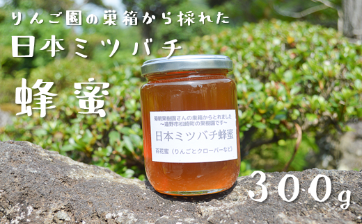 りんご園の巣箱から採れた 日本ミツバチ 蜂蜜 【300g】 国産 遠野産 非加熱 純粋 はちみつ 希少 遠野食工房蔵