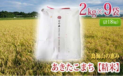 秋田県産 あきたこまち 精米 18kg（2kg×9袋）神宿る里の米「ひの米」（お米 小分け）