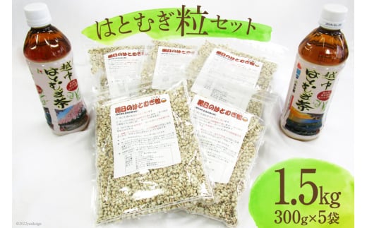 yxRzY ͂Ƃނ  300g×5܃Zbg [ngMc xR  34310207]