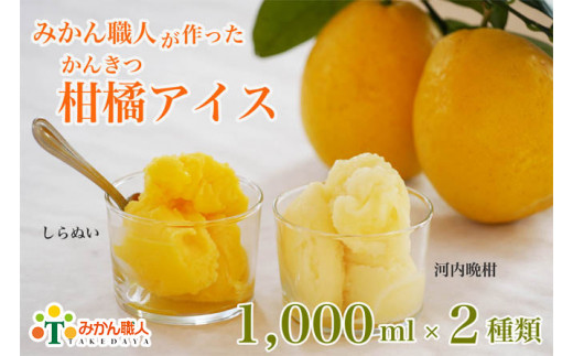 yQ쒬z݂ElkACX 1000ml×2i ͓ӊ ʂ j Mtg lߍ킹 sm   i X V[xbg \x  t[c ʕ 