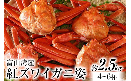 富山湾産 紅 ズワイガニ 姿 約2.5kg（4～6杯） / 寺田鮮魚店 / 富山県