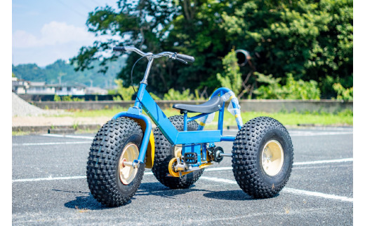 おもしろ自転車 バギーサイクル 【自転車 サイクリング タイヤ 伊豆 静岡】90-002 - 静岡県伊豆市｜ふるさとチョイス - ふるさと納税サイト