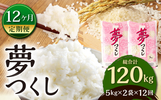 【12ヶ月定期便】【令和5年産】 夢つくし 10kg×12ヶ月 精米 お米 米