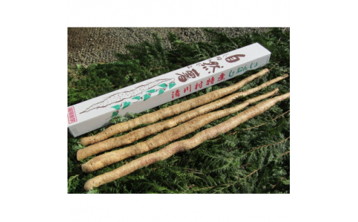 y_ސ쌧쑺z쑺Y@悩펩R2000(2kg){܂y1326825z