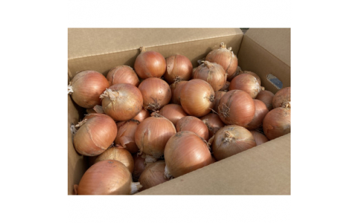 ykCxǖszstʂ˂@1(20kg)_ ʂ˂ ܂˂  ₳ kC xǖ lC   Yn  ႫႫ |gt O_ y1308643z