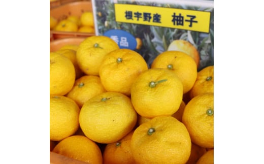 【兵庫県神河町】<神河町特産>根宇野(みよの)の柚子(ゆず) 約2kg ※2025年10月末頃から順次発送【1332889】