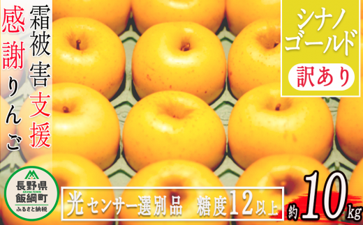 9/1以降価格改定】 りんご 10kg （２４〜５０玉） シナノゴールド 訳