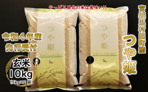 令和4年産 つや姫 玄米10kg(5kg×2) 宮城県産【1331927】 - 宮城県村