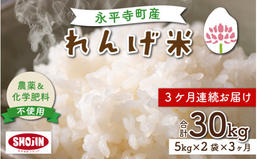 3ヶ月連続お届け】令和5年産 農薬不使用・化学肥料不使用 永平寺町産