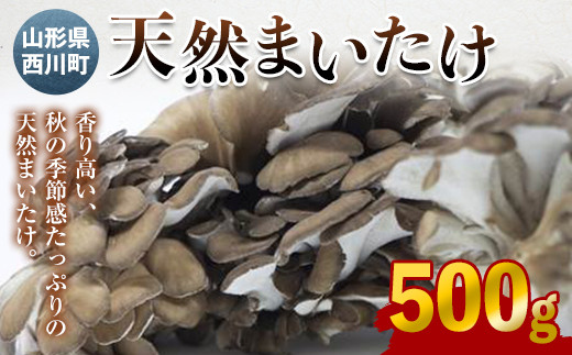 FYN9-028 《先行予約》山形県西川町産 天然まいたけ 500g - 山形県西川町｜ふるさとチョイス - ふるさと納税サイト