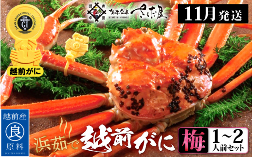 【福井県越前町】越前がに本場の越前町からお届け!越前がに 浜茹で≪梅セット≫1〜2人前 かに酢 かにの食べ方しおり かにスプーン付き【かに カニ 蟹】【福井県 越前町 雄 ズワイガニ ボ