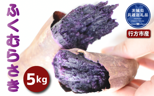 y錧sz܂uӂނ炳v5kg (2025NY)i錧ʕԗiEssYj