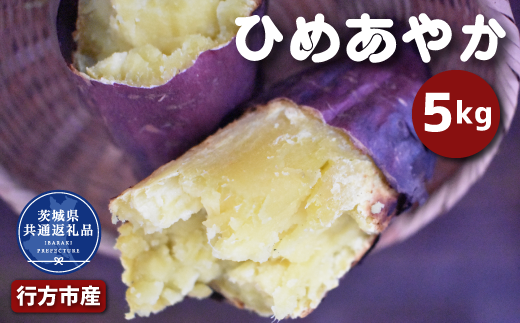 y錧sz܂uЂ߂₩v5kg  (2025NY)i錧ʕԗiEssYj