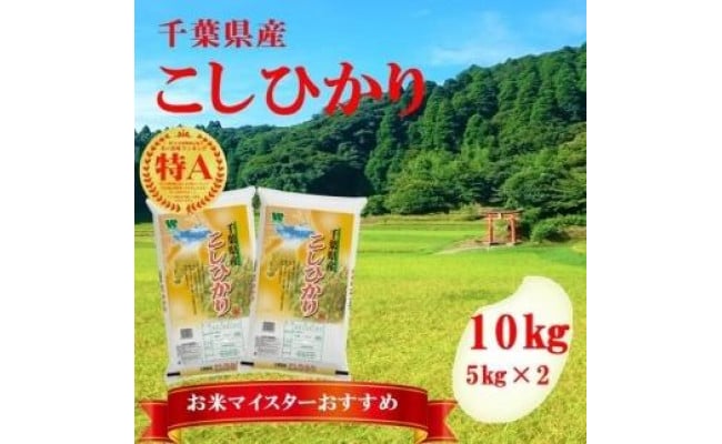 新米】コシヒカリ 精米 10kg (5kg×2袋) 【令和4年 千葉県産】 - 大網白里市大網白里市 | ふるさと納税 [ふるさとチョイス]