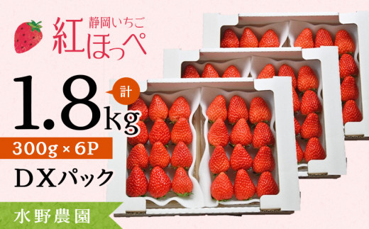 １７０６ 掛川産完熟いちご 紅ほっぺ 300g×6P 1.8ｋｇ (8～15粒入×6P