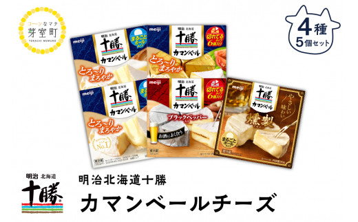 【北海道芽室町】明治北海道十勝チーズ　カマンベールチーズ「燻製」を含む4種5個セット me003-011