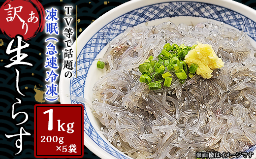 y錧Ȏszystzy 󂠂 z 炷 1kg y TVŘb̓ i }Ⓚ j zy 炷 VX CN Ⓚ  i  炷 z[SZR]