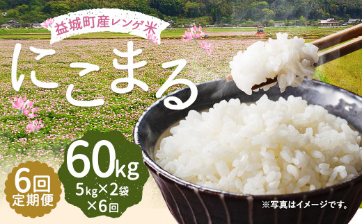 スイーツ柄 ブルー 熊本県産 令和4年新米100% 発芽玄米 2袋 5kg れんげ