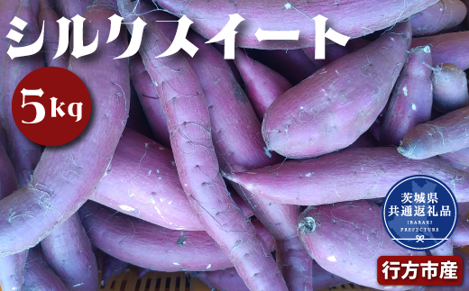 y錧߉ώsz܂ VNXC[g 5kg Ȃ߂炩H Â Ă ˂Ƃ Ƃ Â݂ XC[c  ĂՂ XC[g|eg َq 錧ʕԗiEssY